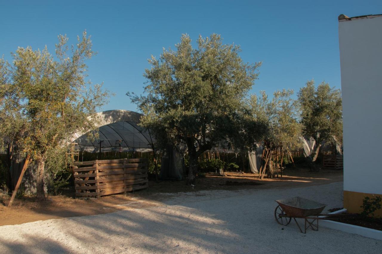 Quinta De Santana Da Varzea Abrantes Luaran gambar