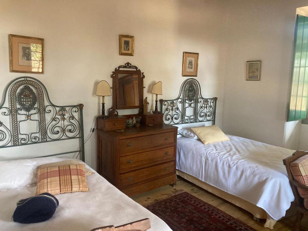 Quinta De Santana Da Varzea Abrantes Bilik gambar