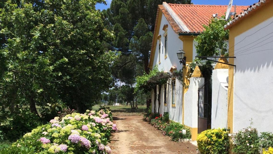 Quinta De Santana Da Varzea Abrantes Luaran gambar